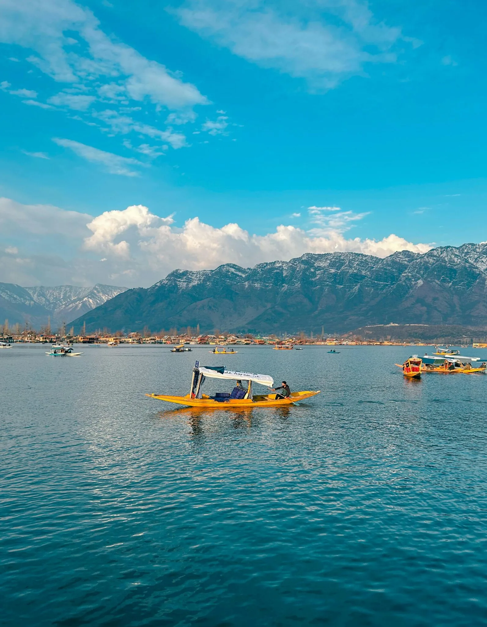 Kashmir 6N7D